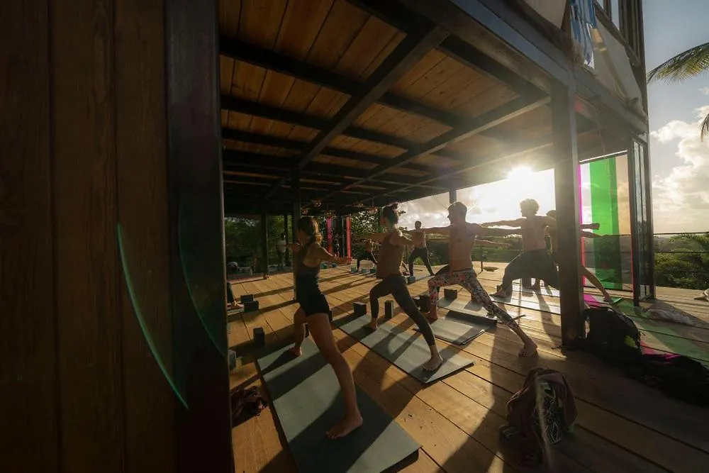 Finca Victoria ビエケス