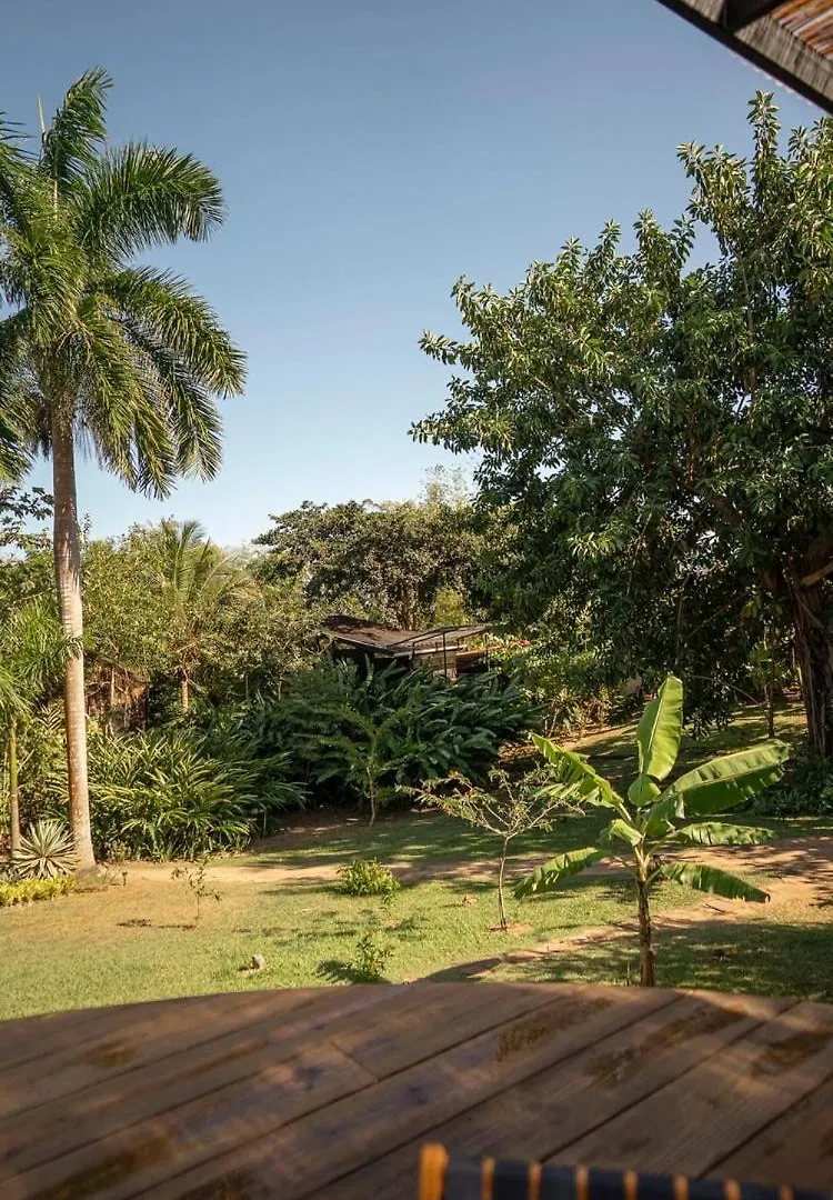 Finca Victoria ビエケス プエルトリコ