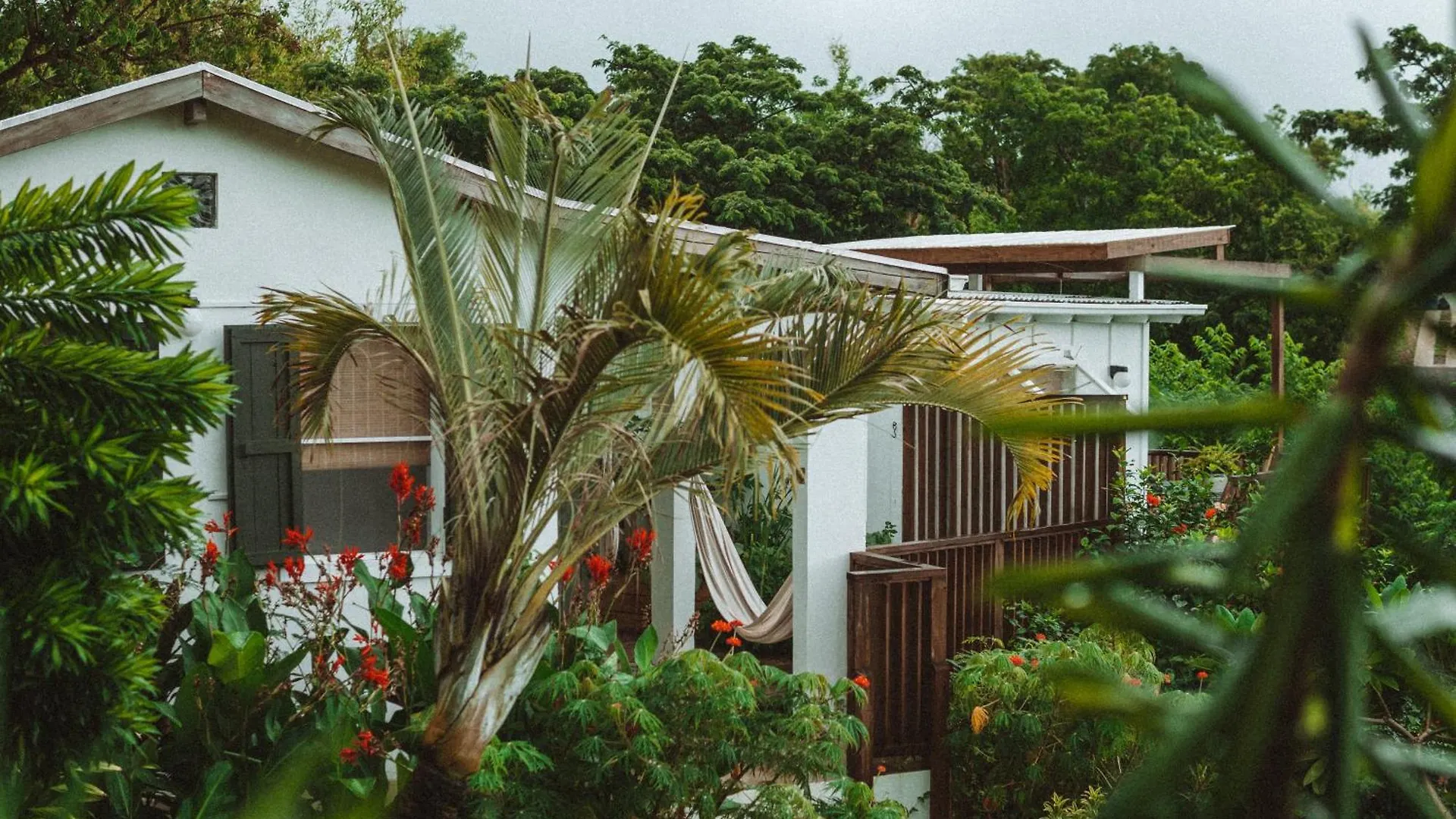 Finca Victoria ビエケス 3*,